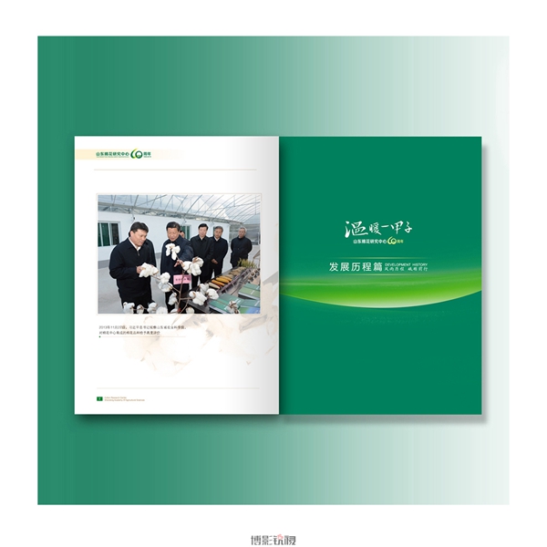 棉花中心7.jpg