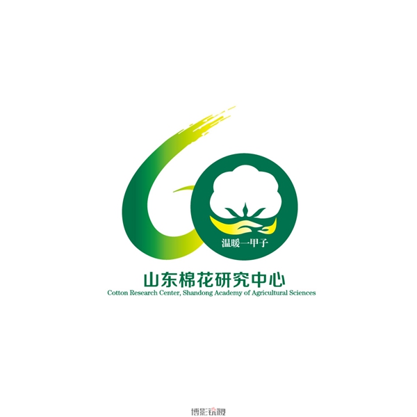 棉花中心1.jpg