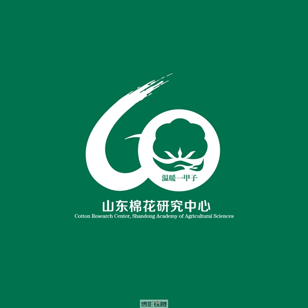 棉花中心2.jpg
