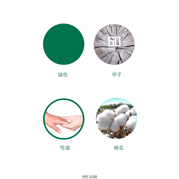 棉花中心3.jpg