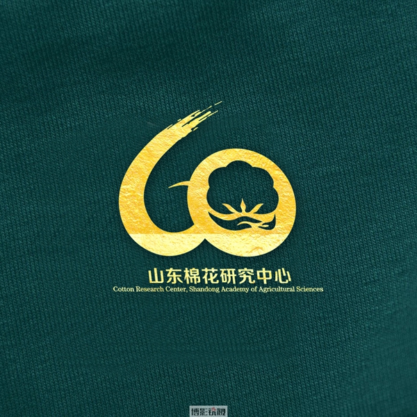 棉花中心5.jpg